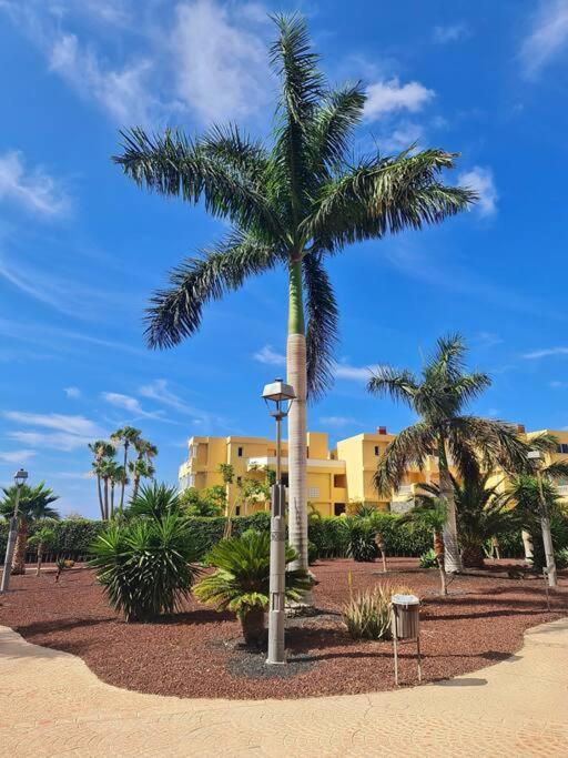 Homely Apt In Modern Building With Pool San Miguel de Abona Exterior photo